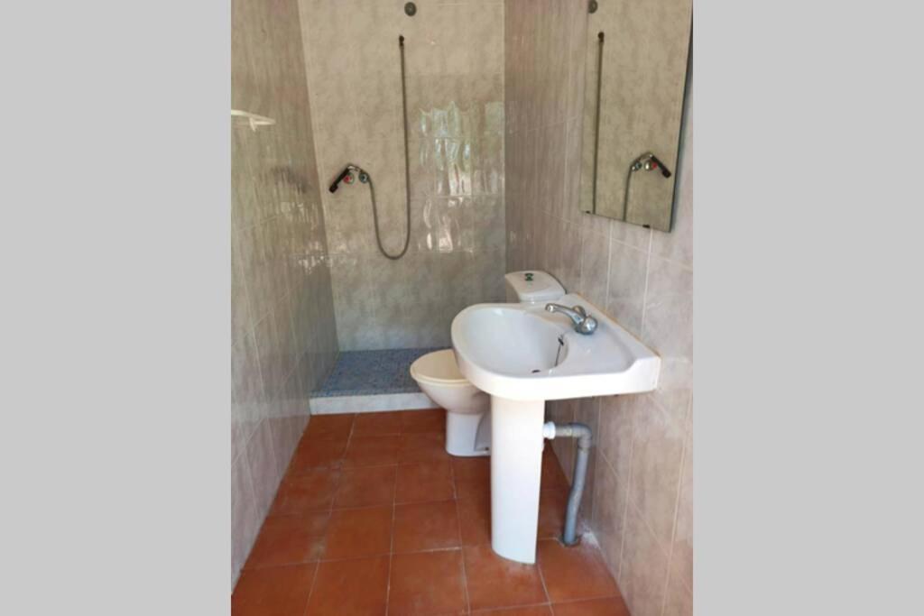 Villa Rustica Privada Con Gran Chalet Y Piscina 엘체 외부 사진
